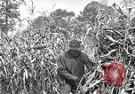 Image of Fordson Tractors United States USA, 1924, second 10 stock footage video 65675064402