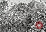 Image of Fordson Tractors United States USA, 1924, second 11 stock footage video 65675064402