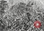 Image of Fordson Tractors United States USA, 1924, second 12 stock footage video 65675064402