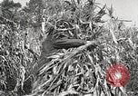Image of Fordson Tractors United States USA, 1924, second 14 stock footage video 65675064402