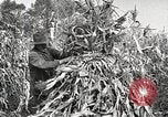 Image of Fordson Tractors United States USA, 1924, second 16 stock footage video 65675064402