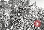 Image of Fordson Tractors United States USA, 1924, second 17 stock footage video 65675064402