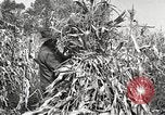 Image of Fordson Tractors United States USA, 1924, second 20 stock footage video 65675064402