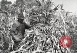 Image of Fordson Tractors United States USA, 1924, second 21 stock footage video 65675064402