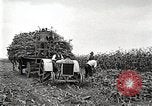 Image of Fordson Tractors United States USA, 1924, second 25 stock footage video 65675064402