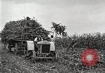 Image of Fordson Tractors United States USA, 1924, second 27 stock footage video 65675064402