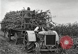 Image of Fordson Tractors United States USA, 1924, second 32 stock footage video 65675064402