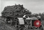 Image of Fordson Tractors United States USA, 1924, second 35 stock footage video 65675064402
