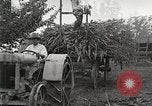 Image of Fordson Tractors United States USA, 1924, second 43 stock footage video 65675064402