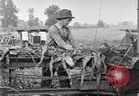 Image of Fordson Tractors United States USA, 1924, second 57 stock footage video 65675064402