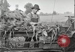 Image of Fordson Tractors United States USA, 1924, second 58 stock footage video 65675064402