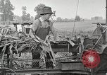 Image of Fordson Tractors United States USA, 1924, second 61 stock footage video 65675064402