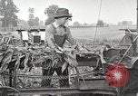 Image of Fordson Tractors United States USA, 1924, second 62 stock footage video 65675064402