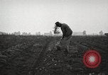 Image of Fordson tractors United States USA, 1924, second 22 stock footage video 65675064404