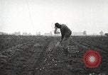 Image of Fordson tractors United States USA, 1924, second 24 stock footage video 65675064404