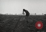 Image of Fordson tractors United States USA, 1924, second 26 stock footage video 65675064404