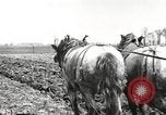 Image tracteurs Fordson United States USA, 1924, de la seconde 44 séquences d'archives historiques vidéo 65675064407