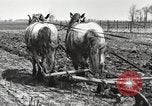 Image tracteurs Fordson United States USA, 1924, de la seconde 48 séquences d'archives historiques vidéo 65675064407