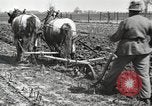 Image tracteurs Fordson United States USA, 1924, de la seconde 50 séquences d'archives historiques vidéo 65675064407