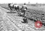 Image tracteurs Fordson United States USA, 1924, de la seconde 55 séquences d'archives historiques vidéo 65675064407