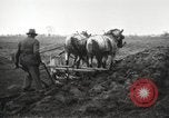 Image tracteurs Fordson United States USA, 1924, de la seconde 48 séquences d'archives historiques vidéo 65675064408