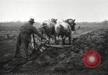 Image tracteurs Fordson United States USA, 1924, de la seconde 49 séquences d'archives historiques vidéo 65675064408