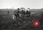 Image tracteurs Fordson United States USA, 1924, de la seconde 62 séquences d'archives historiques vidéo 65675064408
