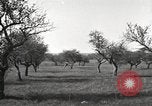 Standbild Fordson Schlepper United States USA, 1924, aus Sekunde 15 historischem Filmmaterial Videoclip 65675064409