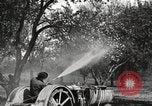 Standbild Fordson Schlepper United States USA, 1924, aus Sekunde 32 historischem Filmmaterial Videoclip 65675064409