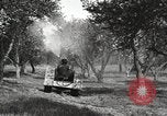 Standbild Fordson Schlepper United States USA, 1924, aus Sekunde 39 historischem Filmmaterial Videoclip 65675064409