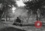 Standbild Fordson Schlepper United States USA, 1924, aus Sekunde 42 historischem Filmmaterial Videoclip 65675064409