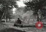 Standbild Fordson Schlepper United States USA, 1924, aus Sekunde 43 historischem Filmmaterial Videoclip 65675064409