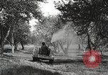 Standbild Fordson Schlepper United States USA, 1924, aus Sekunde 44 historischem Filmmaterial Videoclip 65675064409