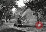 Standbild Fordson Schlepper United States USA, 1924, aus Sekunde 45 historischem Filmmaterial Videoclip 65675064409