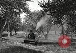 Standbild Fordson Schlepper United States USA, 1924, aus Sekunde 46 historischem Filmmaterial Videoclip 65675064409