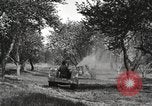 Standbild Fordson Schlepper United States USA, 1924, aus Sekunde 47 historischem Filmmaterial Videoclip 65675064409
