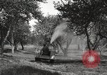 Standbild Fordson Schlepper United States USA, 1924, aus Sekunde 48 historischem Filmmaterial Videoclip 65675064409