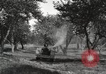Standbild Fordson Schlepper United States USA, 1924, aus Sekunde 50 historischem Filmmaterial Videoclip 65675064409