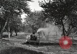 Standbild Fordson Schlepper United States USA, 1924, aus Sekunde 51 historischem Filmmaterial Videoclip 65675064409