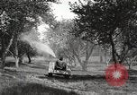 Standbild Fordson Schlepper United States USA, 1924, aus Sekunde 53 historischem Filmmaterial Videoclip 65675064409
