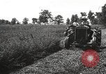 Standbild Fordson Schlepper United States USA, 1924, aus Sekunde 21 historischem Filmmaterial Videoclip 65675064411