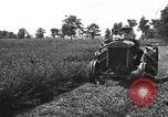 Standbild Fordson Schlepper United States USA, 1924, aus Sekunde 22 historischem Filmmaterial Videoclip 65675064411