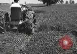 Standbild Fordson Schlepper United States USA, 1924, aus Sekunde 32 historischem Filmmaterial Videoclip 65675064411