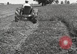 Standbild Fordson Schlepper United States USA, 1924, aus Sekunde 36 historischem Filmmaterial Videoclip 65675064411