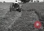 Standbild Fordson Schlepper United States USA, 1924, aus Sekunde 37 historischem Filmmaterial Videoclip 65675064411