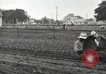 Image of Fordson tractors United States USA, 1924, second 25 stock footage video 65675064413
