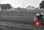 Image of Fordson tractors United States USA, 1924, second 26 stock footage video 65675064413