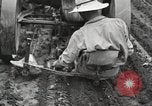 Image of Fordson tractors United States USA, 1924, second 50 stock footage video 65675064413