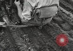 Image of Fordson tractors United States USA, 1924, second 55 stock footage video 65675064413