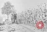 Image of Fordson tractors United States USA, 1924, second 23 stock footage video 65675064414